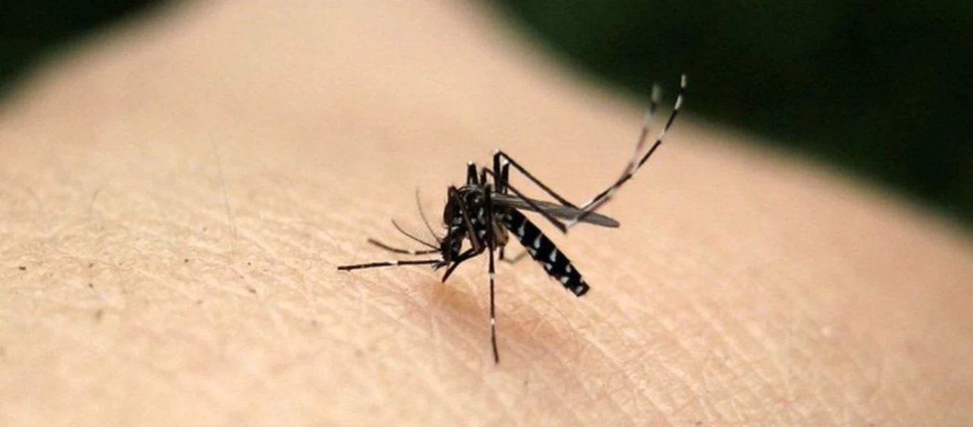 Αυτοί είναι οι λόγοι που σε... «κυνηγάνε» τα κουνούπια